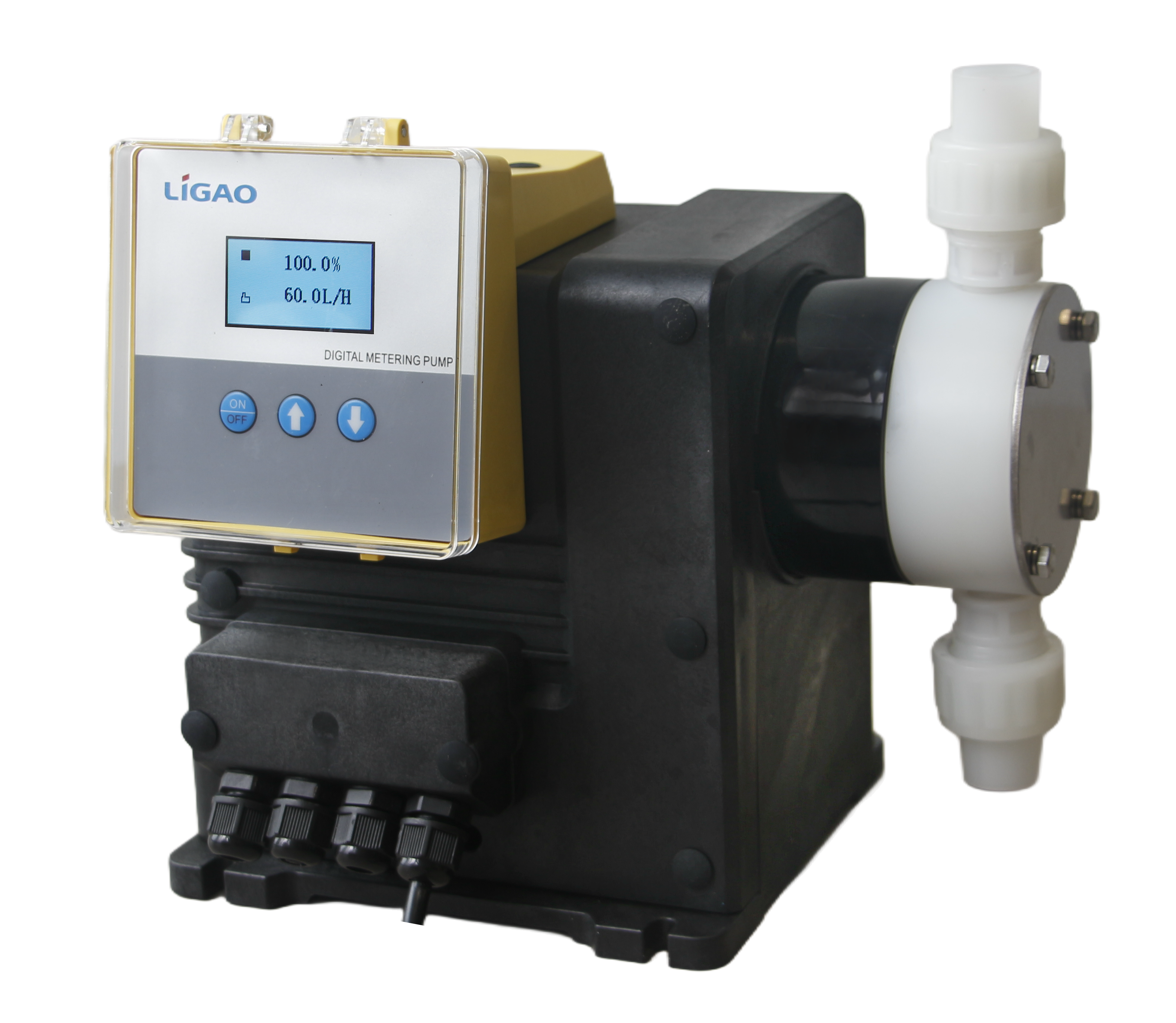 DS系列数字计量泵